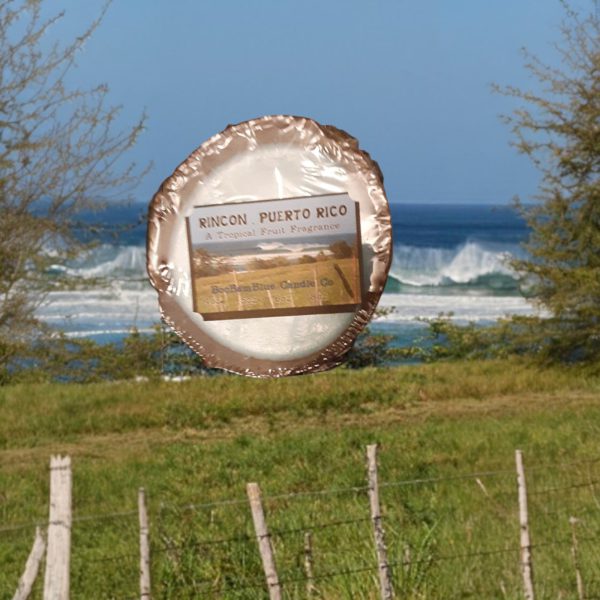 Rincon Puerto Rico Coconut Shell candle