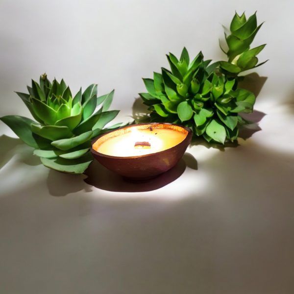 Haleiwa Hawaii Coconut Shell Candle - Image 4