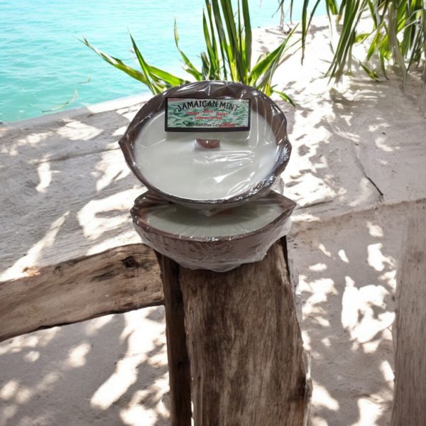 Jamaican Mint Coconut Shell candle