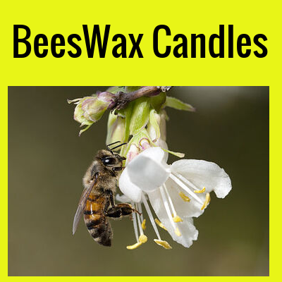 BeesWax Candles